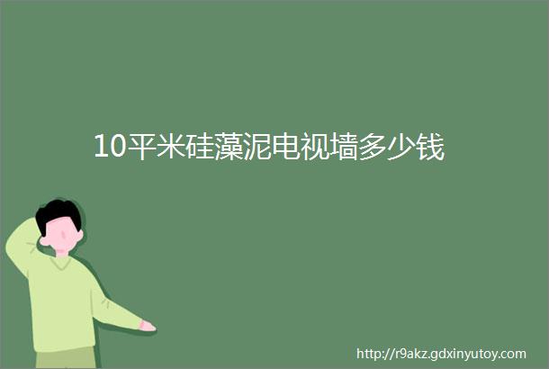 10平米硅藻泥电视墙多少钱